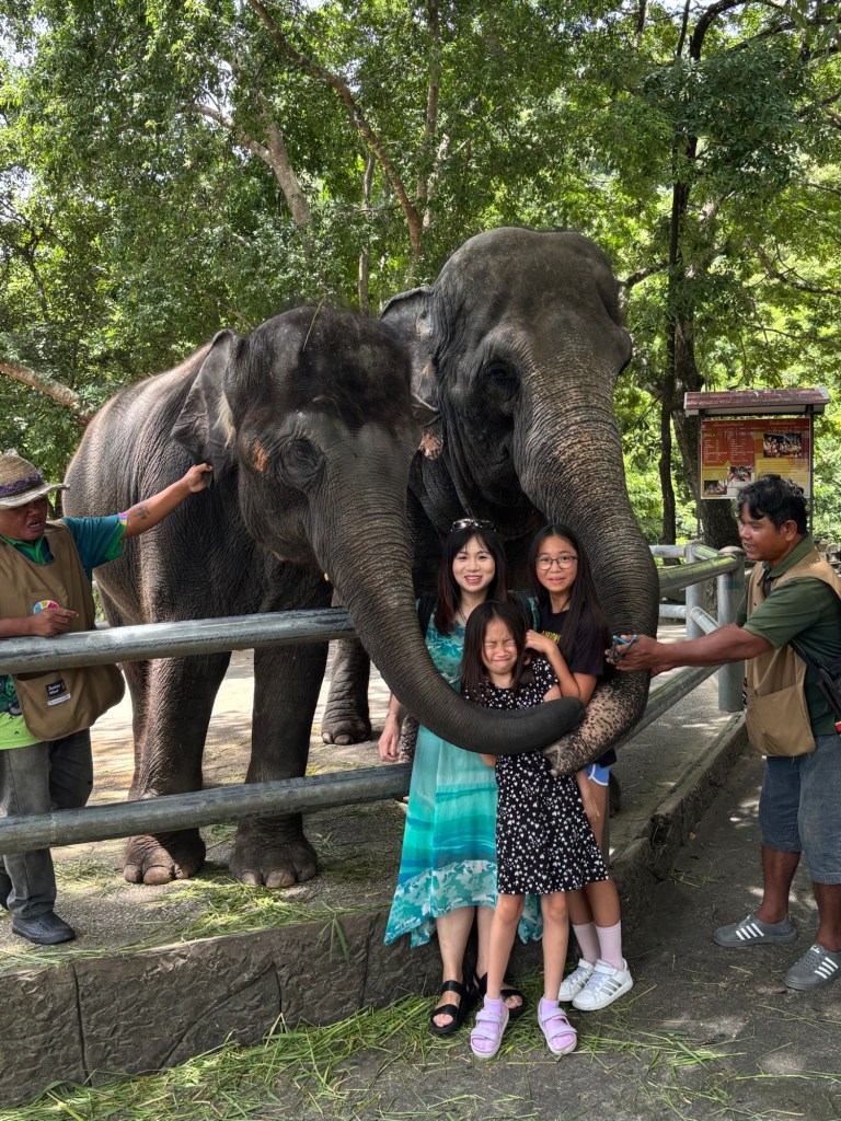 Young child looking hesitant near an elephant at Khao Kheow Open Zoo in Chonburi, Thailand, during a photo opportunity at the enclosure